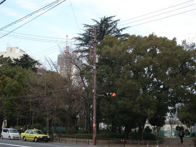 リバパレス靭公園 その他外観3