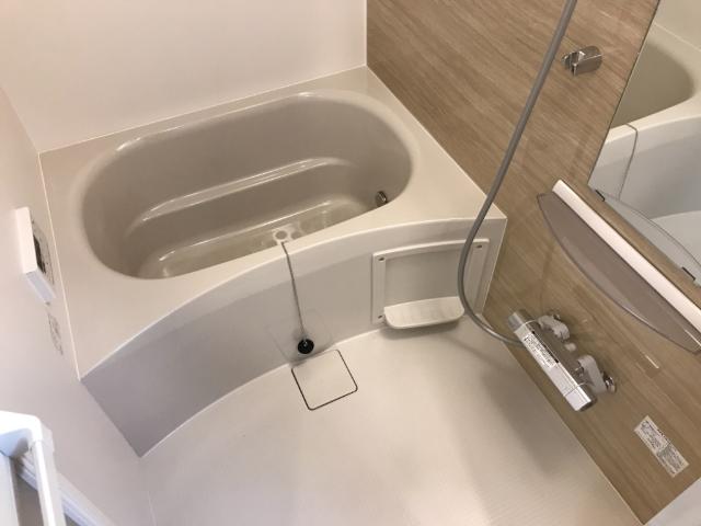 サニープレイス岩田 風呂画像