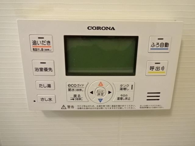 ローエングラム大日 その他9