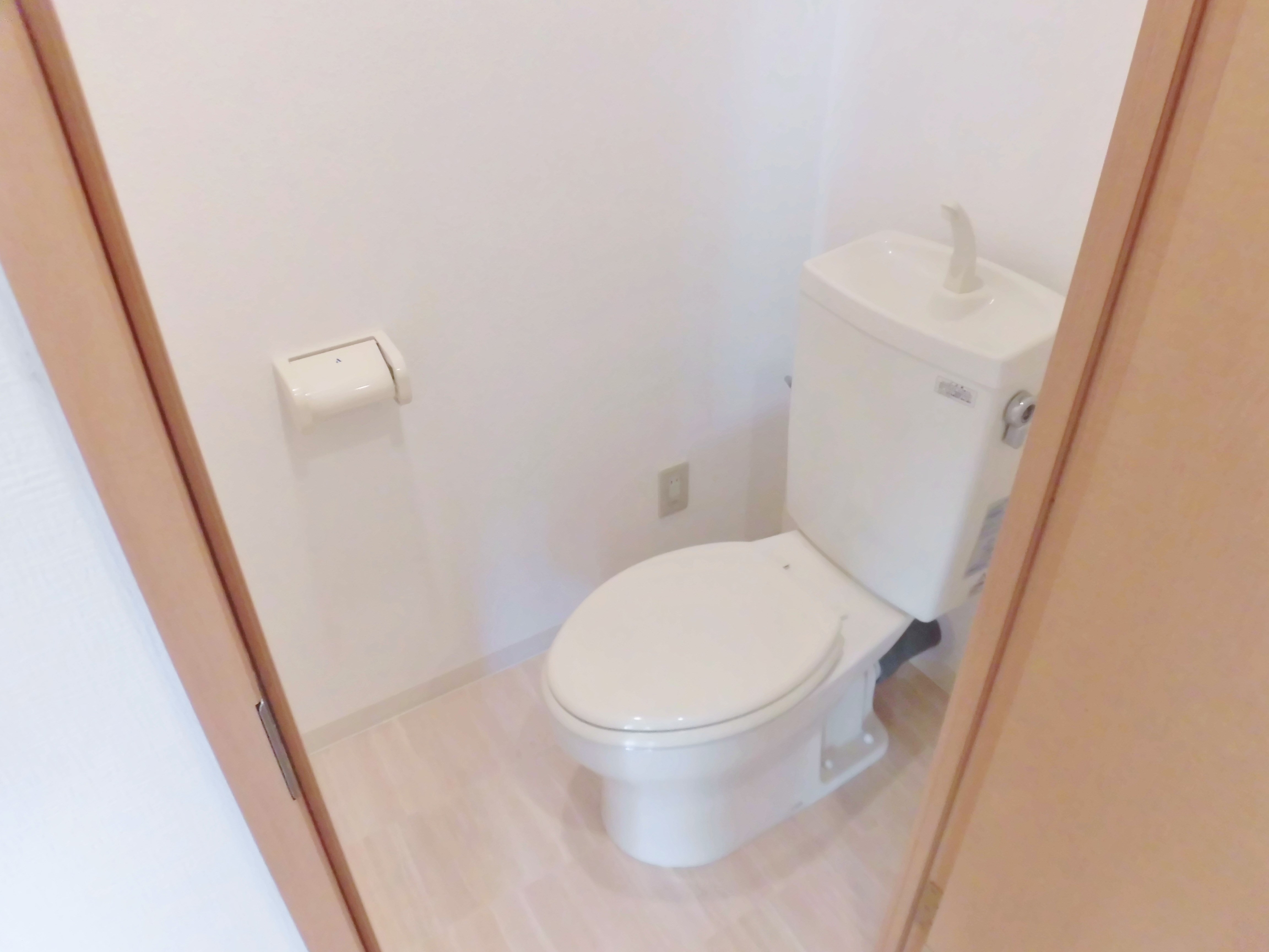 グランド秋桜 その他1