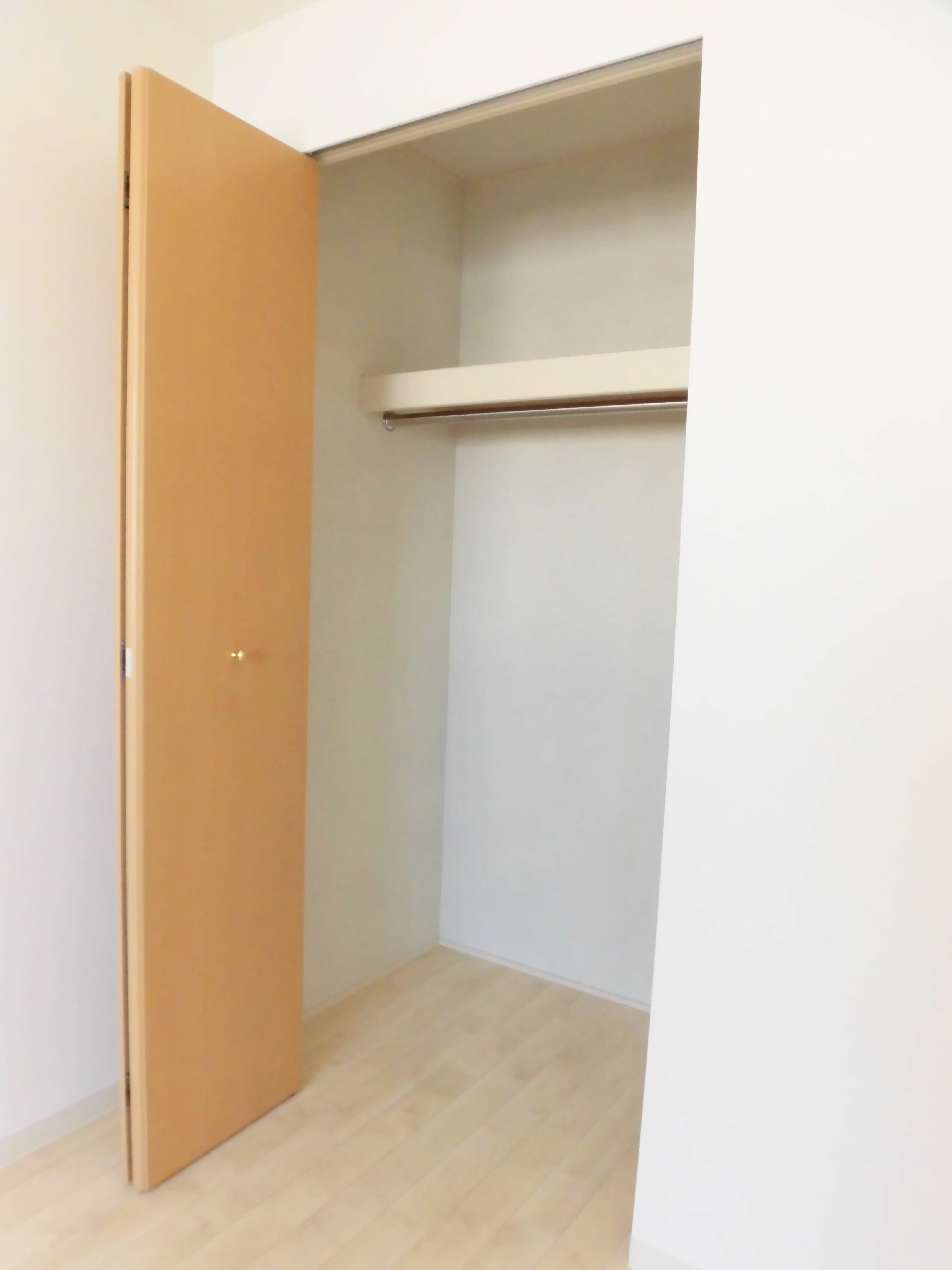 グランド秋桜 その他5