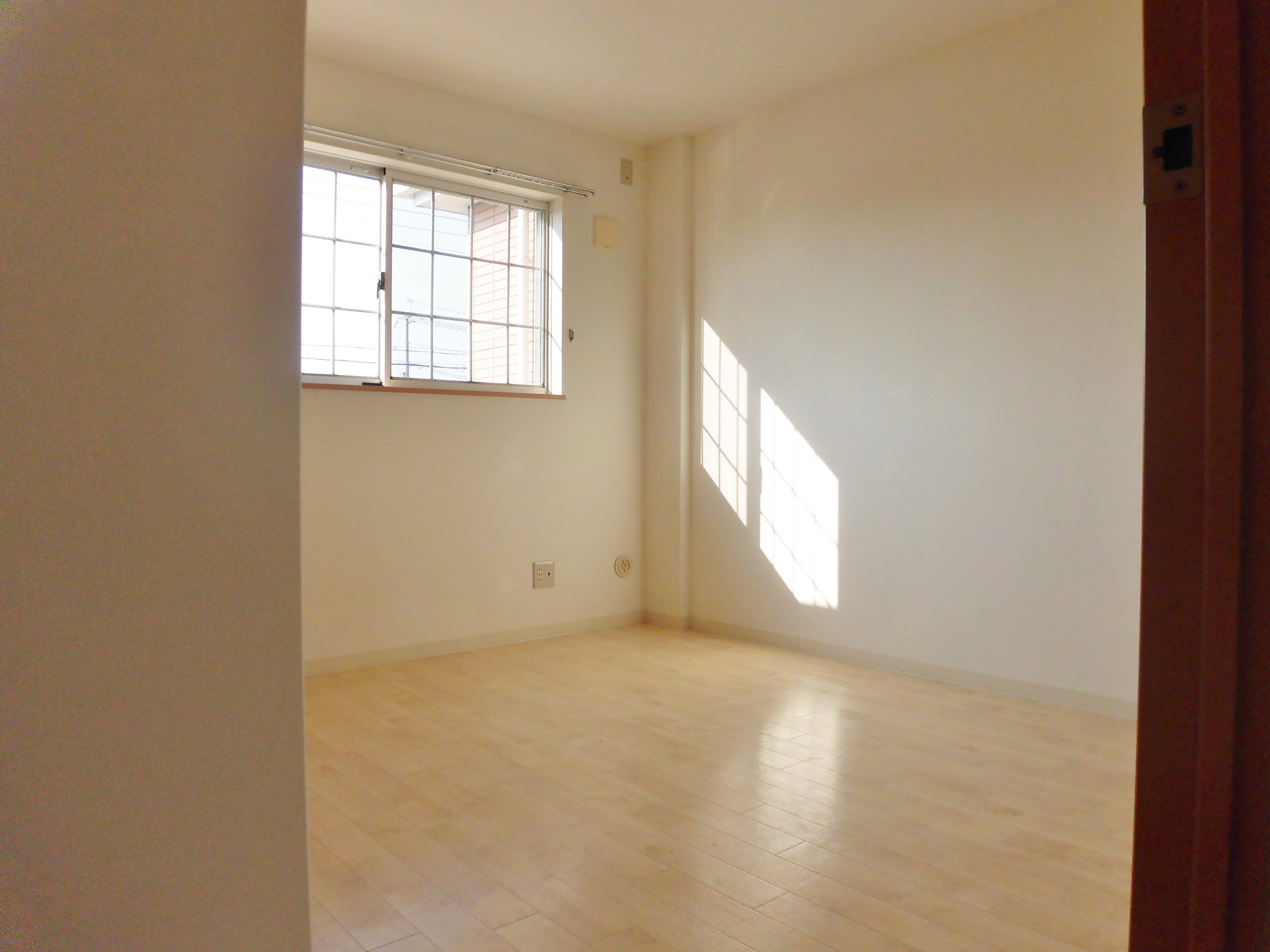 グランド秋桜 その他7