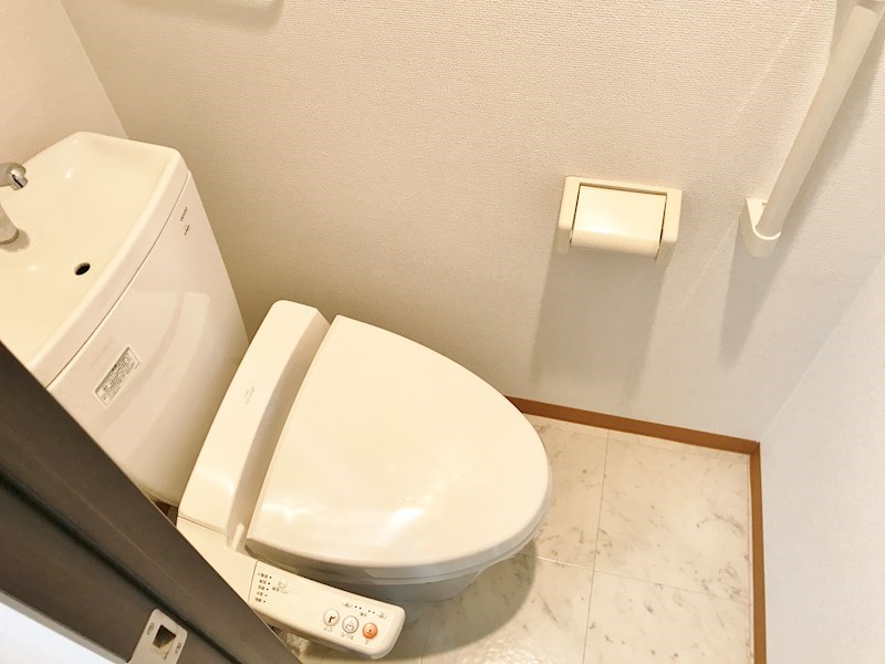 ｼｪﾘｰﾙｿﾙ その他2