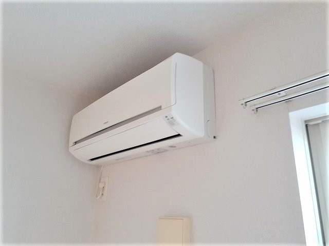 プリムラ　ＴＫ０１ その他1
