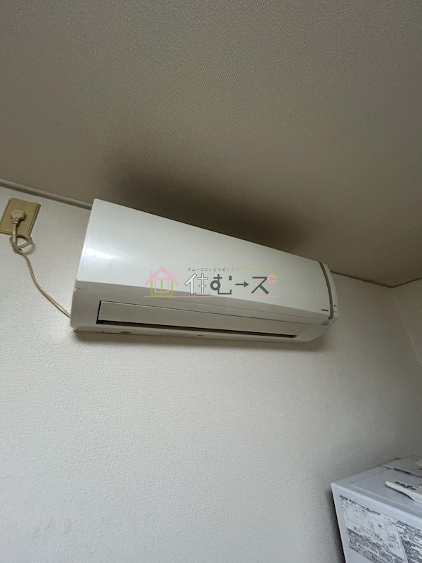 フォンタルトマト その他3