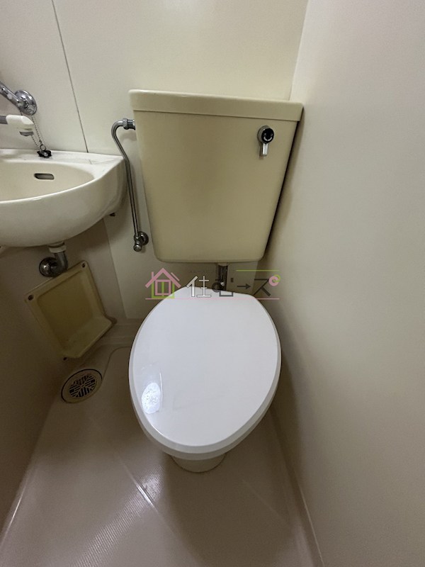 フォンタルトマト その他4