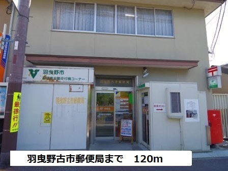 Ｌａ　Ｆｏｒｅｓｔａ　ｌｕｃｅ その他外観3