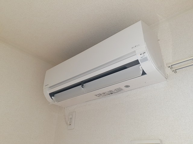 パライソ その他3