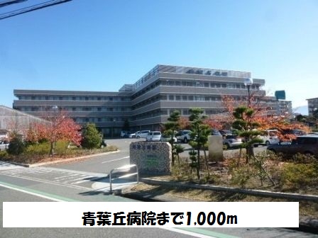 ファイン・キャピタルＣ その他外観3