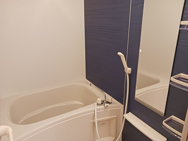 ヌーヴォー池上 風呂画像