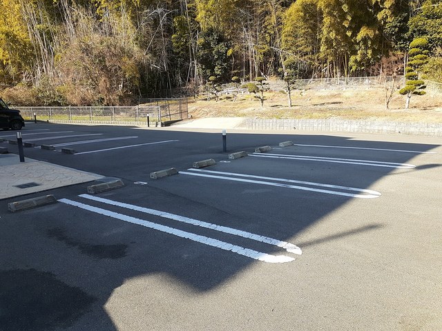 フェニックス・Ｍ その他7