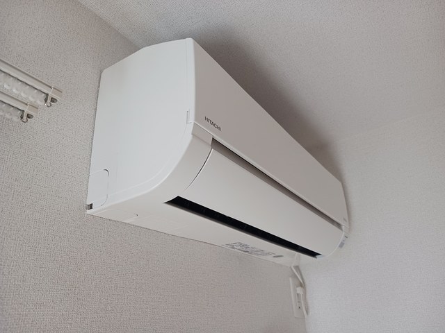 ユング　フラウⅢ その他1