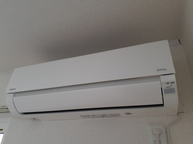 パライソ その他5