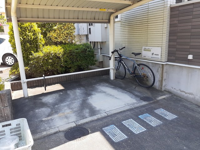パライソ その他8