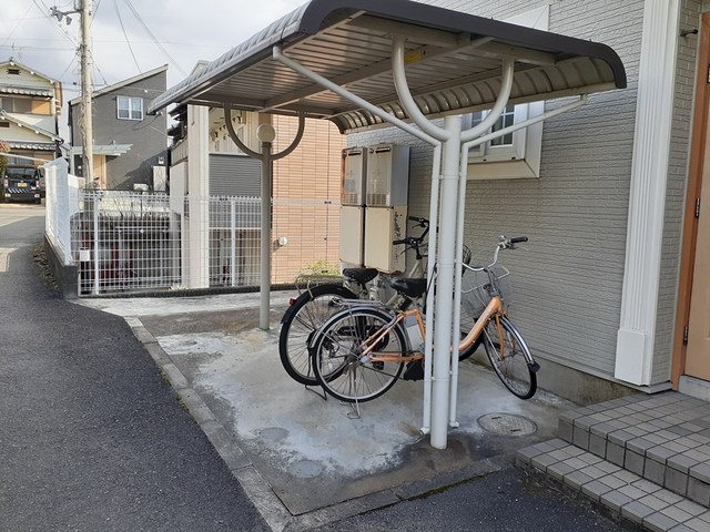 オリーブ長尾 その他6