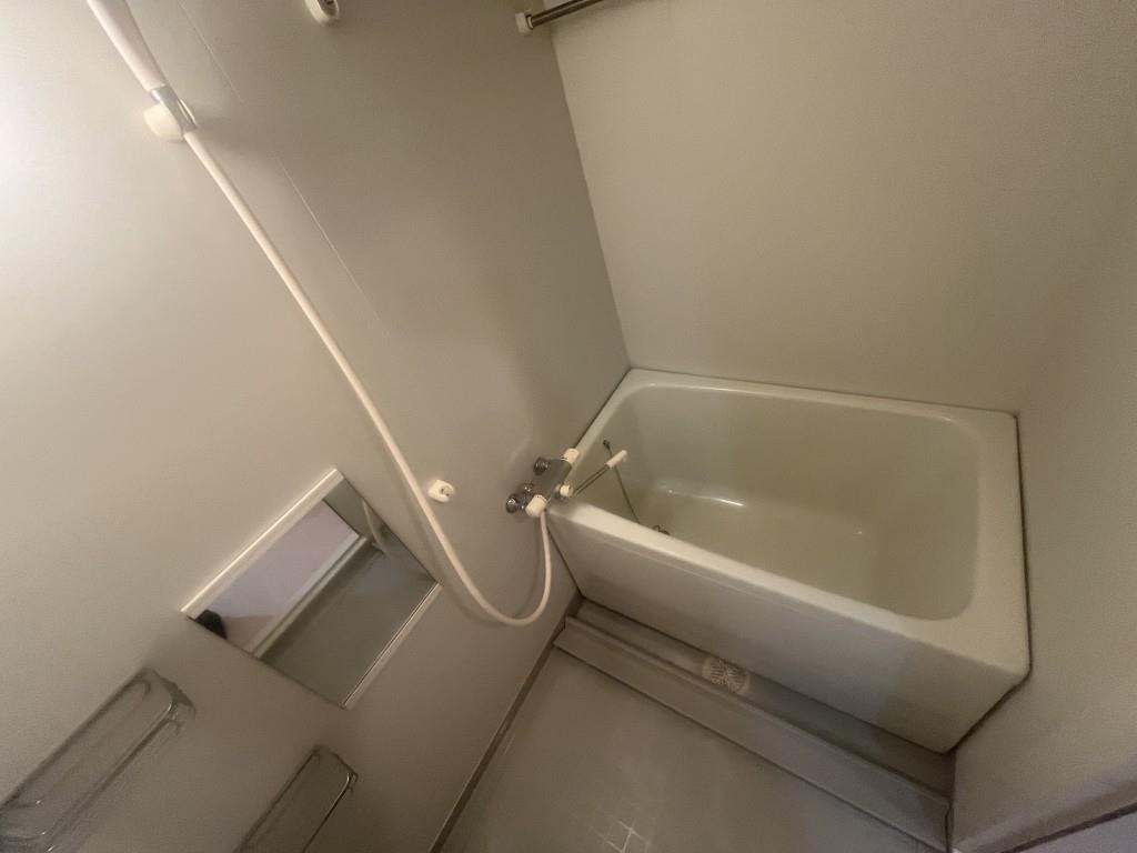 エスト・ドミール(大東市) 風呂画像