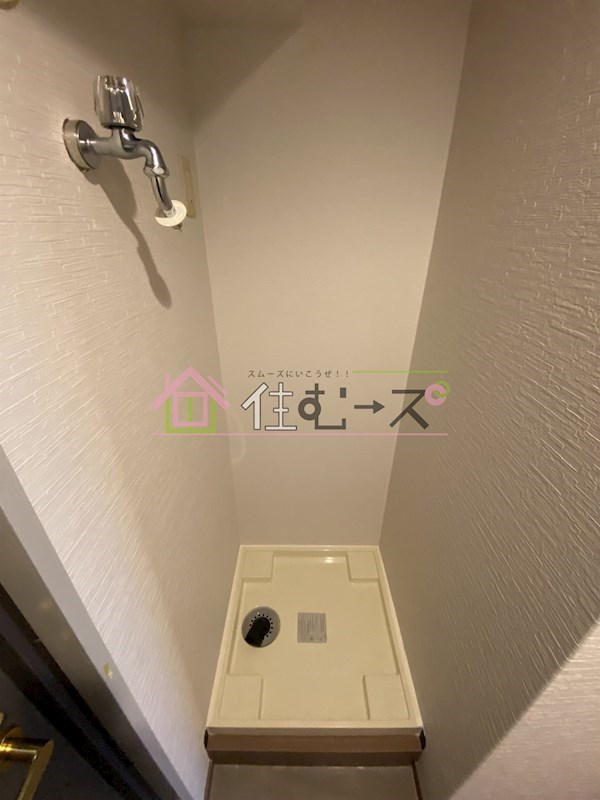 Novum　ROSA その他4