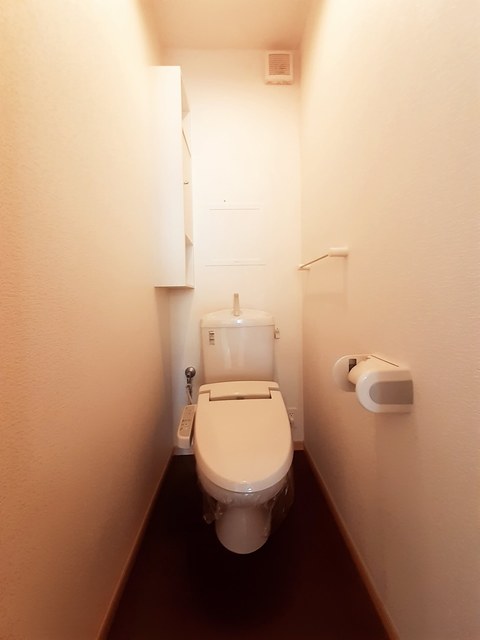 コスモス　Ａ その他4