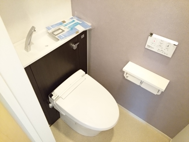 カーサカトレア その他2