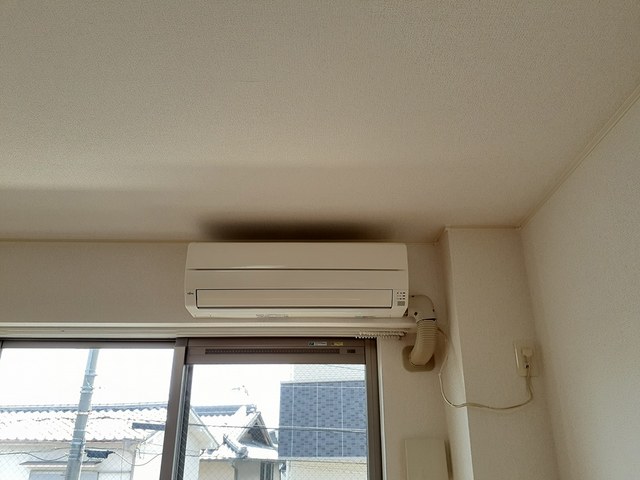 ネオメゾン その他6