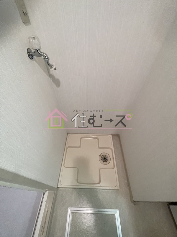 シロスハヤシ  その他5