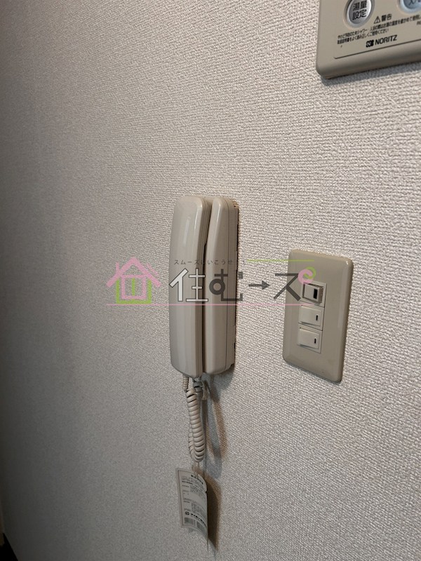 Sun corpo その他5