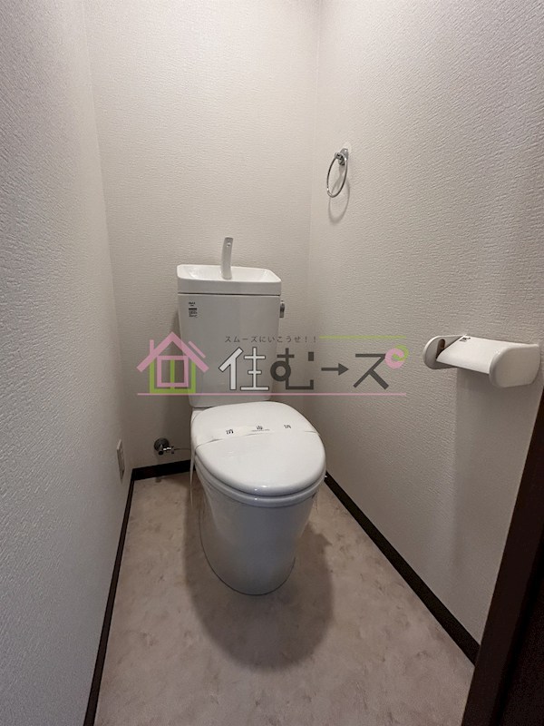 Sun corpo その他6