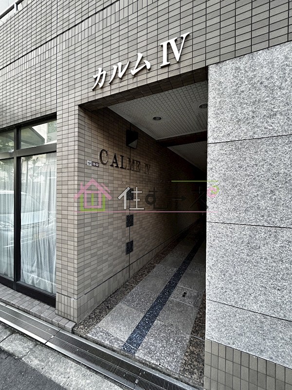 カルムⅣ その他1