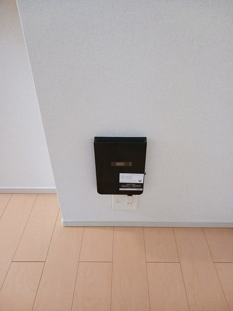 プリムローズ その他6