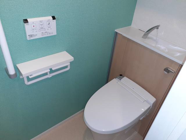 Ｙシャトレーヌ　Ⅲ その他2