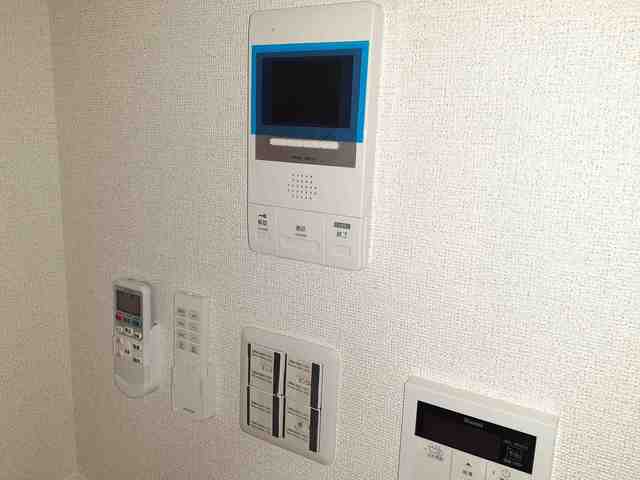 Ｙシャトレーヌ　Ⅲ その他3