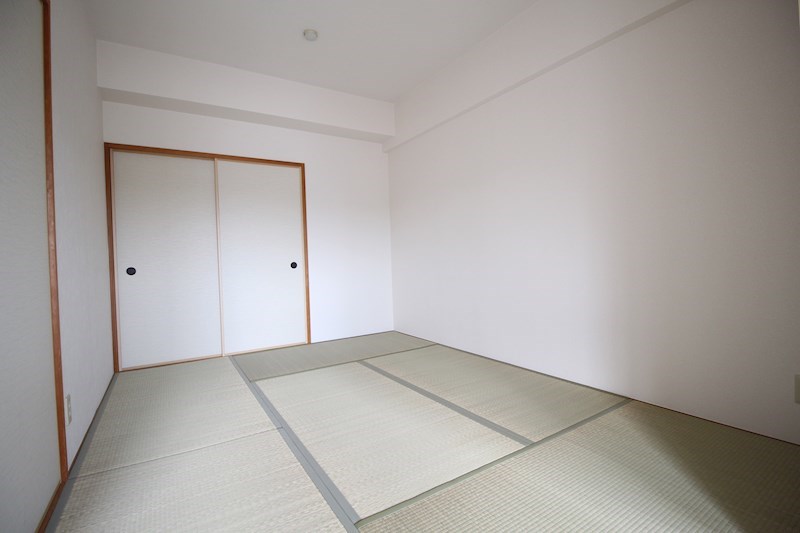 ｱｸｱｳｪﾙW その他5