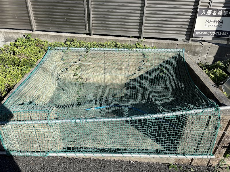 メゾン・ド・ソレイユ その他外観3