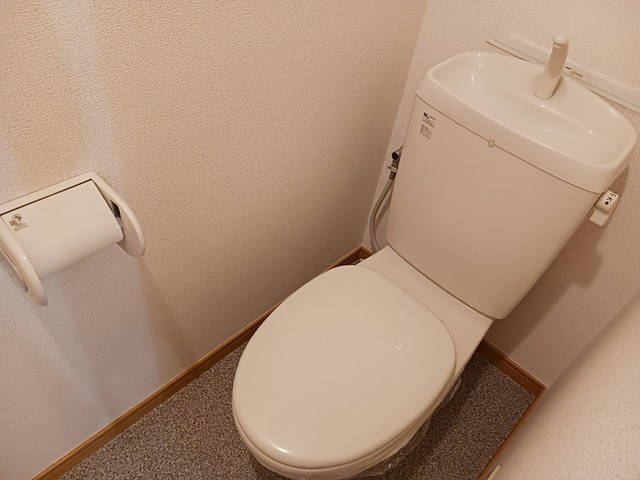 サンフィールド その他5