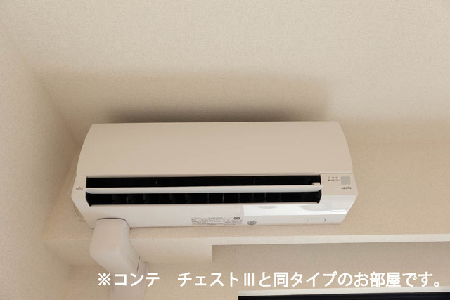 ベル　ハイネス その他1