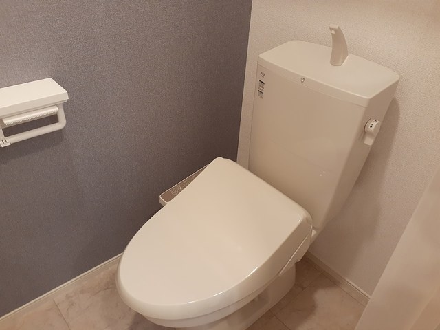 ラウレア その他2