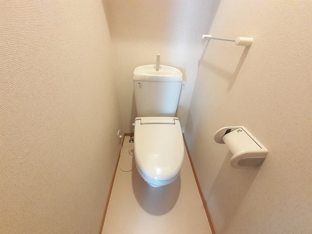 コ－ト　ロベリア その他2
