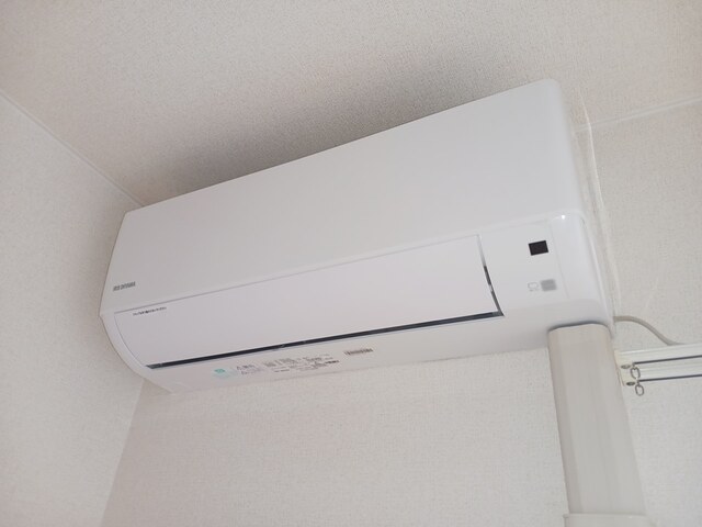 ドマ－ニ その他3