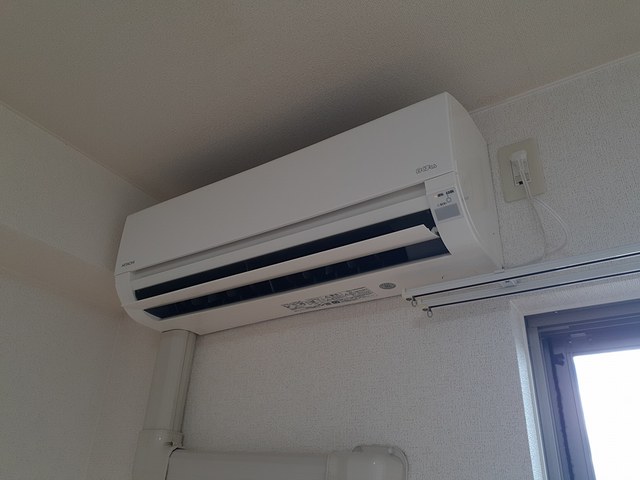 ドマ－ニ その他3