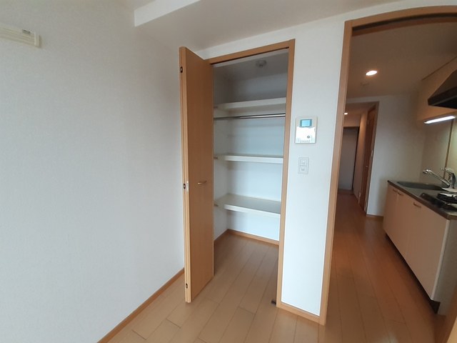ドマ－ニ その他4
