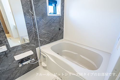 エタン・ロッシⅡ 風呂画像