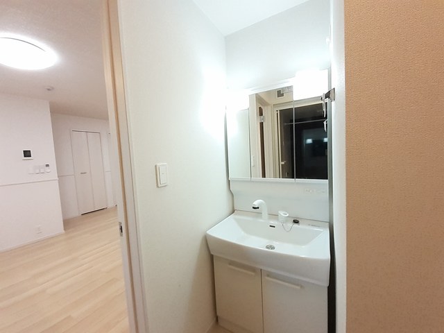 ゼフィランサス その他2