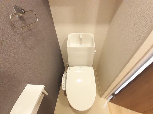 ゼフィランサス その他3