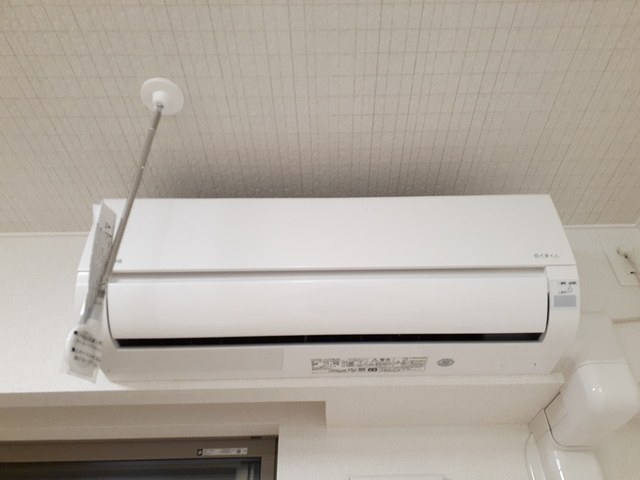 ゼフィランサス その他4