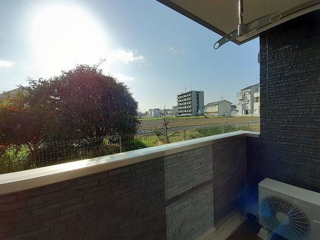 ゼフィランサス ベランダ