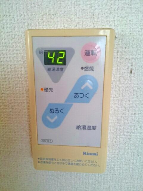 グリーンマンション その他3