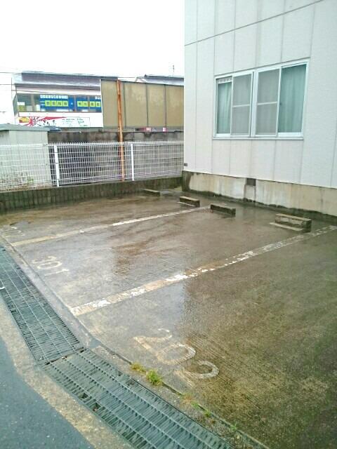 グリーンマンション その他6