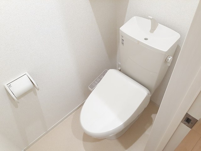 グレイス　パール その他6