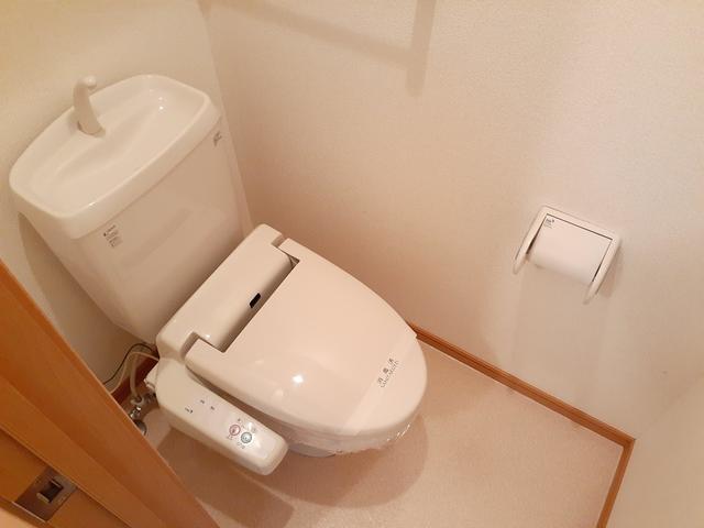 エレガンテアルバ その他2