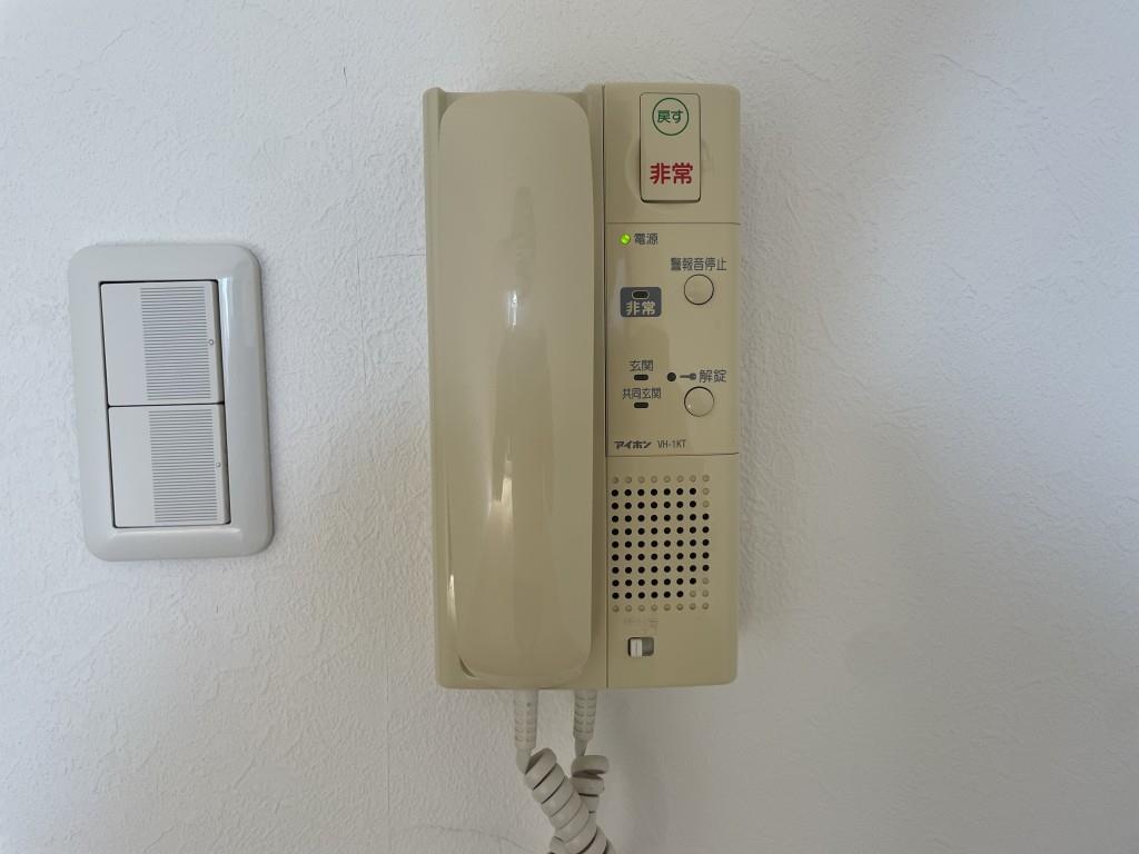 サザン長柄 その他10